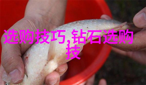 文化的脉络传承与创新之旅