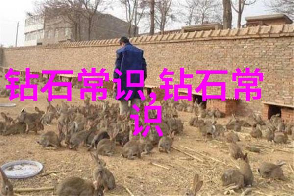 玉石鉴定揭秘最简易的识别技巧