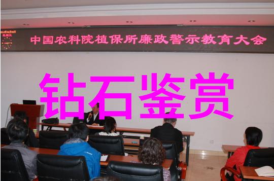 翡翠之谜绿意盎然的真伪大探究