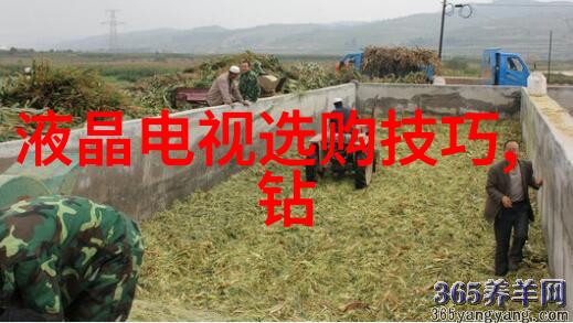 中华文化的四大特点传统哲学艺术与节日