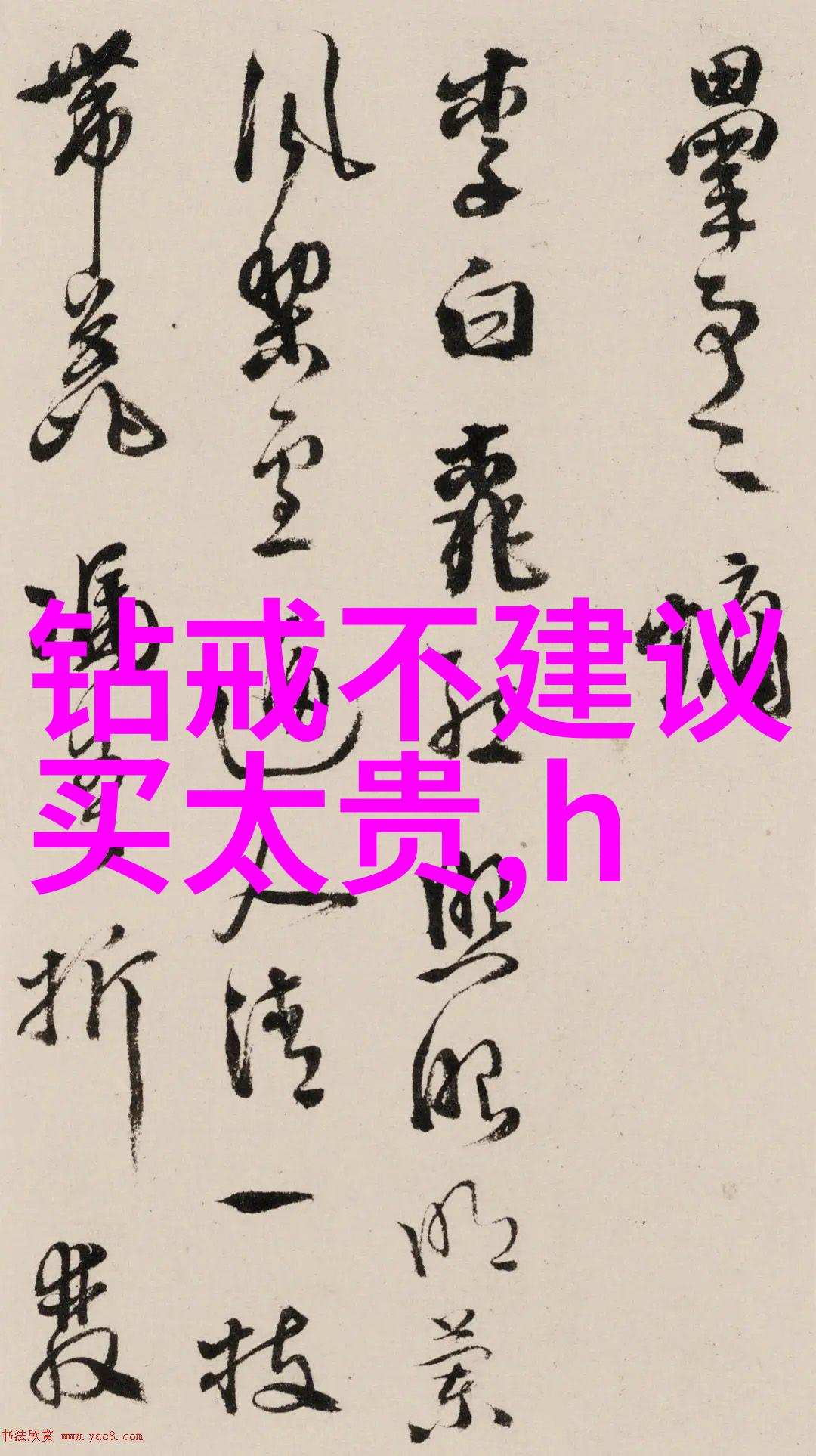 深度剖析审计专业守护财务透明与可信