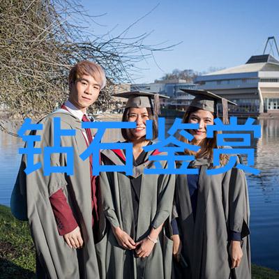 宠物美容师-爱心剪刀宠物美容师的艺术与责任