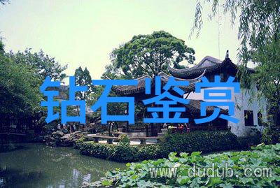 文化的丰富魅力传统艺术现代科技与国际交流