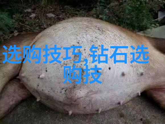 宠物美容师如何处理不同品种动物的皮毛护理