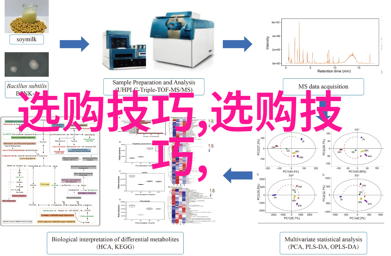 古典建筑-宝庆银楼一段时光的铭记