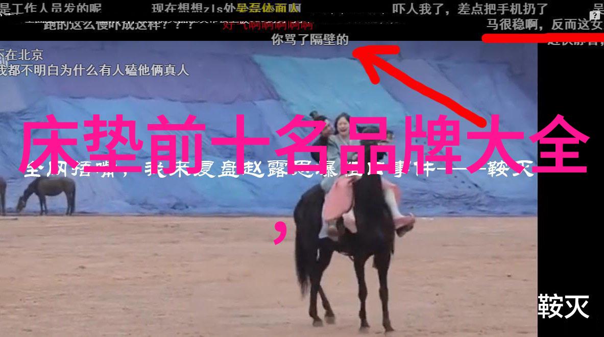 穿越时空的契约替身王妃的秘密