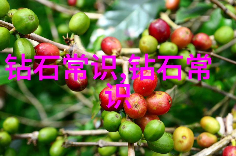 小萝卜头如何学会了忠诚与勇气的道理