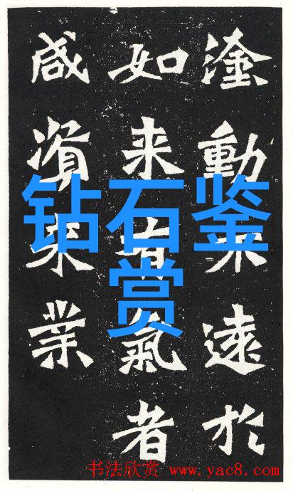 笑傲文化圈中国的味道英语的调
