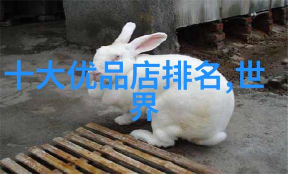 解析文化内涵传统价值观符号与表达的复杂织网