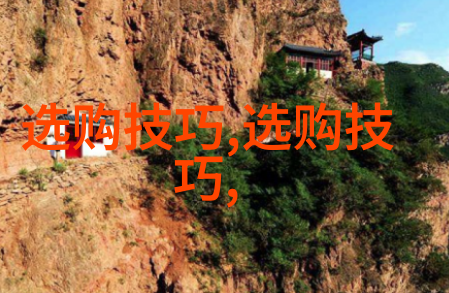 森林之恋迈开腿踏访樱花动漫的诗意篇章