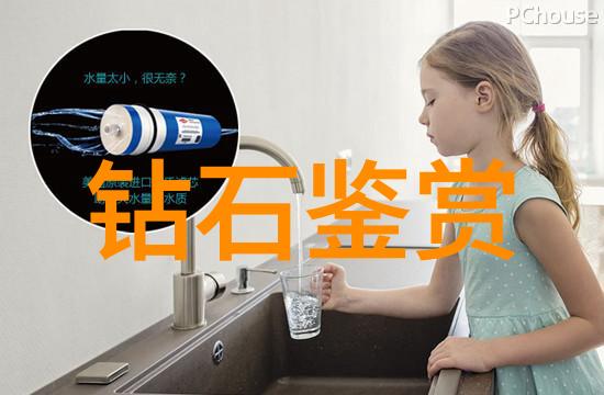 揭秘中国文化的独特魅力历史艺术与传统的交响篇