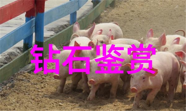 表现力激荡揭秘那些让人印象深刻的个性特征