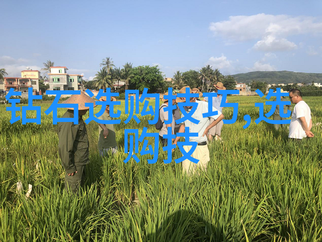 宝石之谜千万不要触碰