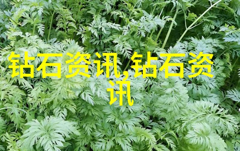 婚纱定制-精致礼服独一无二的婚姻梦之冠