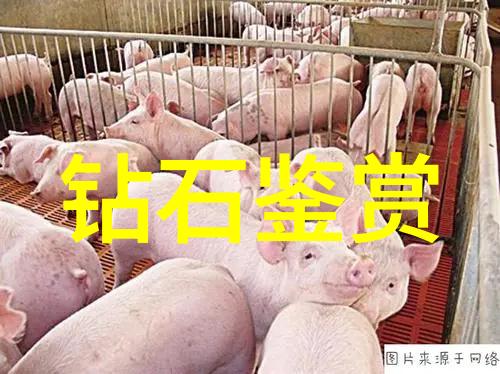 老牌与新贵并存中国珠宝市场前100名该如何评价