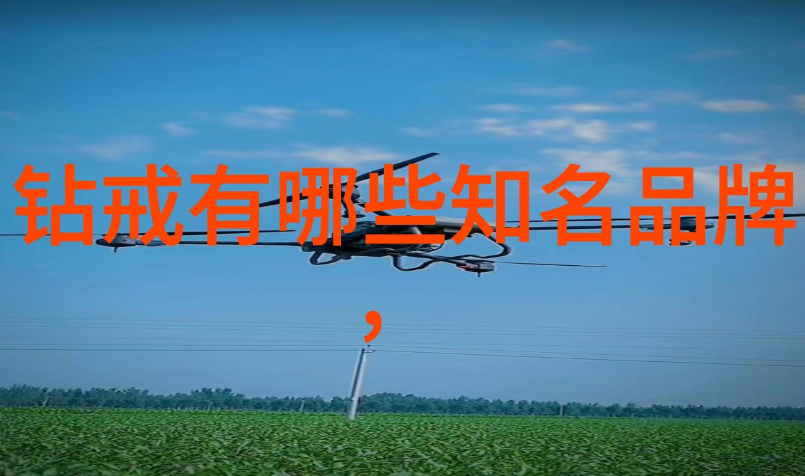 全球华人社区评选出的中国最佳居住城市TOP10名单