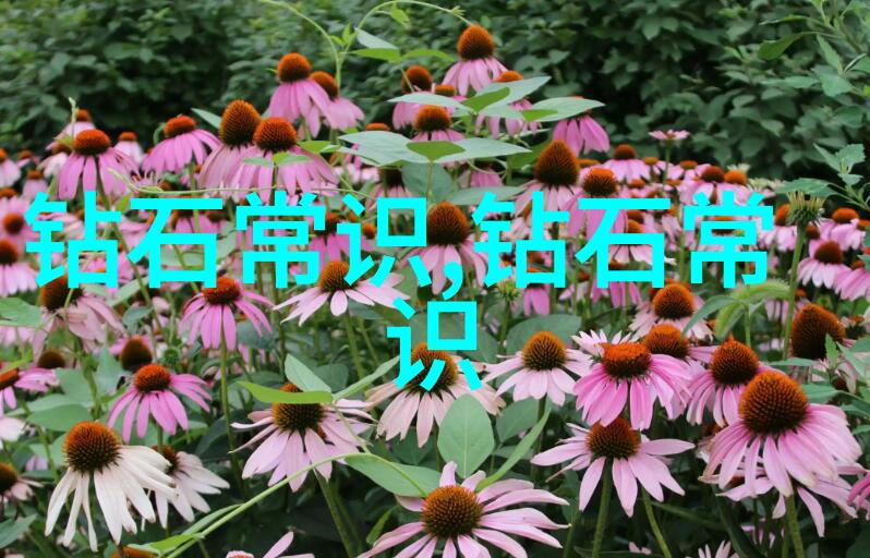 在世界上的哪些博物馆和展览中能找到真正的古代皇家遗产呢