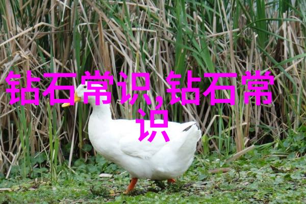 中国传统文化深度探索中华古典艺术道德哲学宗教信仰