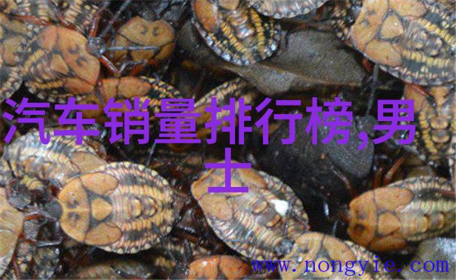 钻石选购技巧我的宝石之旅从爱到智慧的探索