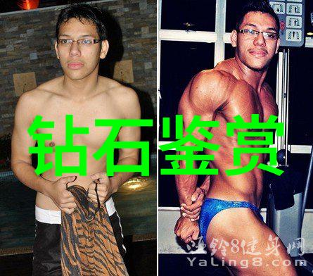 自然之选翡翠手镯鉴定选择适合你的那一颗光芒