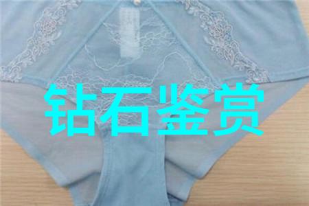 萝卜头有哪些秘密力量让它在困难时刻总能找到解决之道