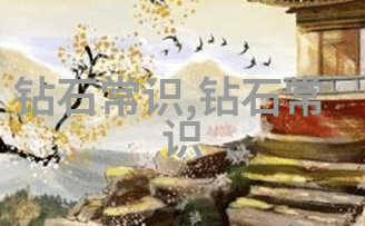 幕墙设计我是如何让我的公寓外观变酷炫的