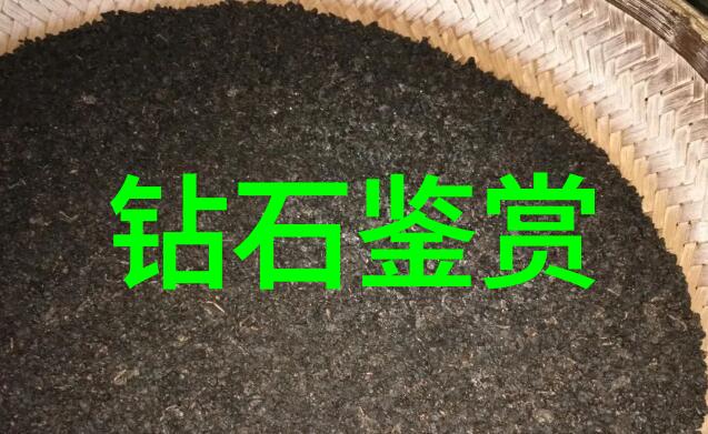 传统文化的深远意义与宝贵价值中华民族精神的根源