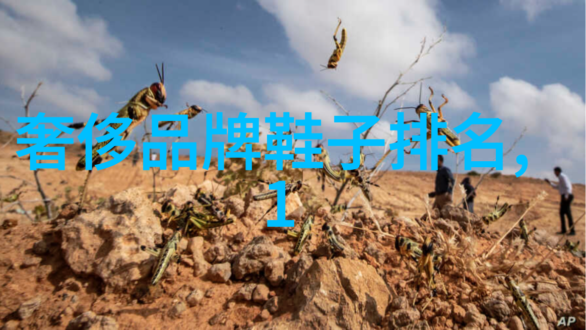 世界杯之冠 排名前十国家的足球梦想与荣耀