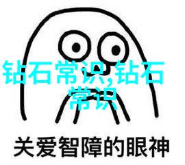 学长一边讲题一边编程技术高手的同时教学