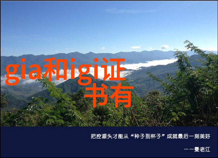 精彩纷呈宝玉石鉴赏技巧与方法