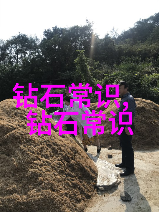 探索中华传统中国文化的深邃之美从经典文言到民间艺术