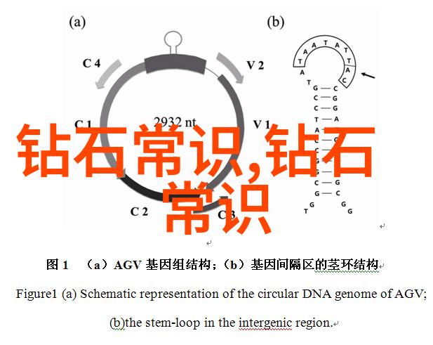 大量铸件订单急需加工厂-紧迫需求高效生产线为大量铸件订单提供解决方案