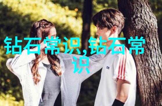 为何选择中国珠宝鉴定中心官网进行珍贵玉石的认证