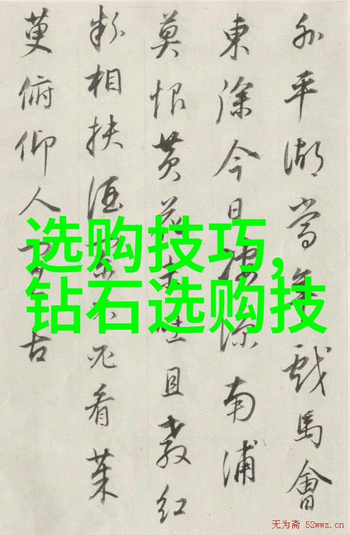 从原料到成品揭秘工艺流程的奥秘