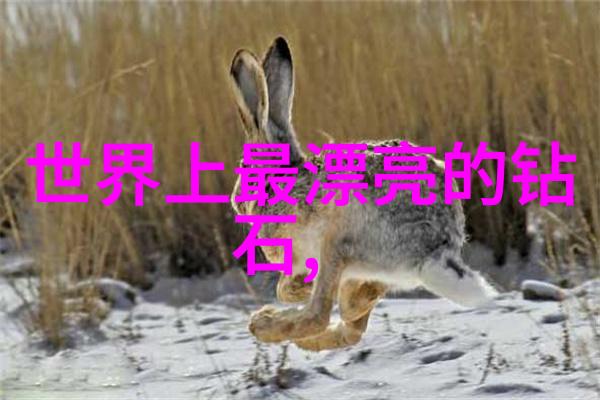 中国文化的传统与现代融合探索国粹在当代社会中的价值与作用