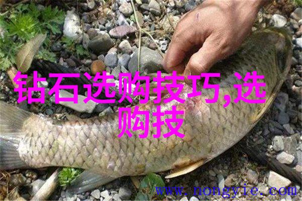 工艺流程与工序流程的差异探究从生产管理的角度理解制造过程中的关键区别