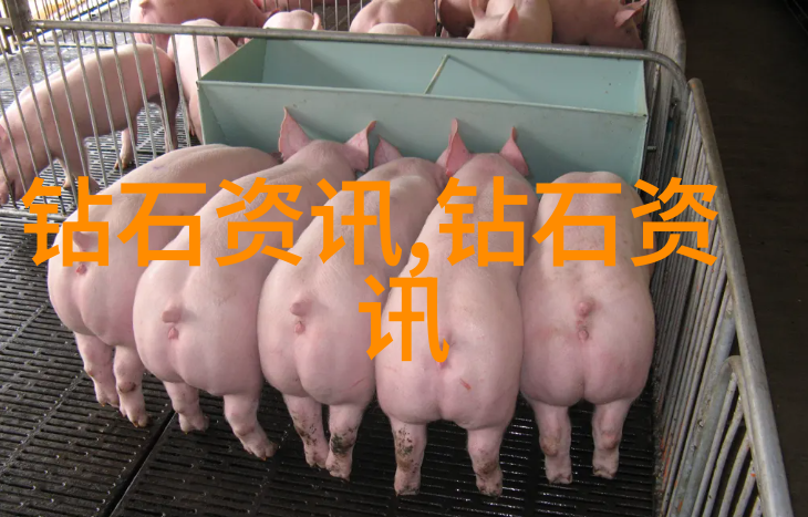 小学生手工艺术的欢乐探索