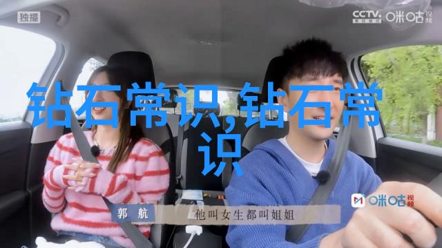 品鉴和鉴赏的区别 - 品味之辨揭秘品鉴与鉴赏的微妙差距
