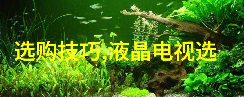 水波涛涌揭秘那些把自己扣的全是水的视频背后的故事