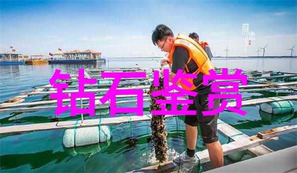 重塑城市景观现代化基础设施建设中的创新理念与技术