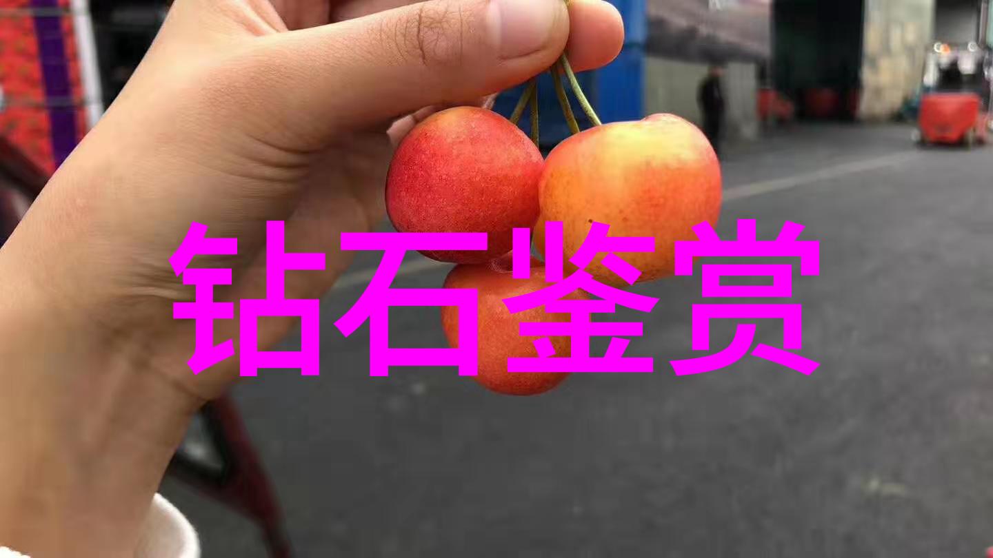 工厂废墟中的忠诚狗狗们的轮流守望故事