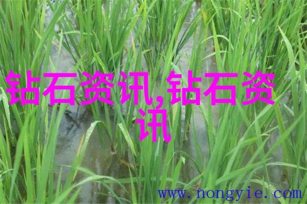 故事大全睡前故事哄女朋友甜蜜梦境我为你编织的恋爱童话