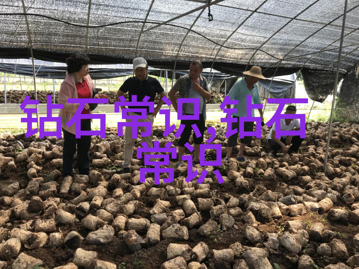 山西传媒学院播撒知识的播客培育人才的电视台