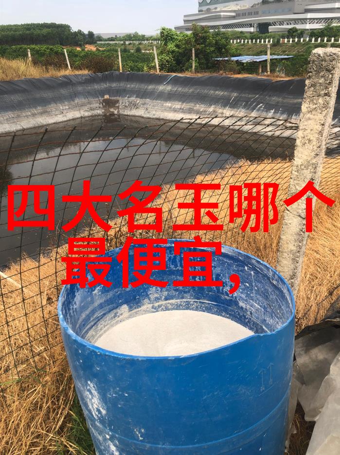 全球钻石宝库揭秘顶级璀璨之冠