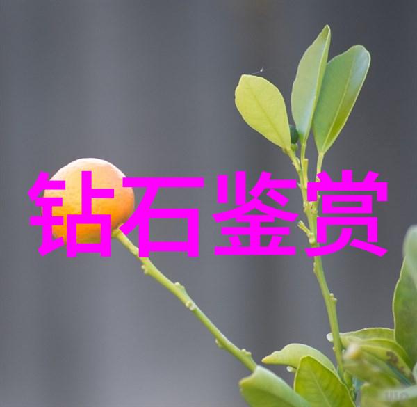 河心相遇老卫的航行故事