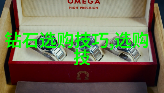 汉语的魅力跨文化桥梁的筑造者
