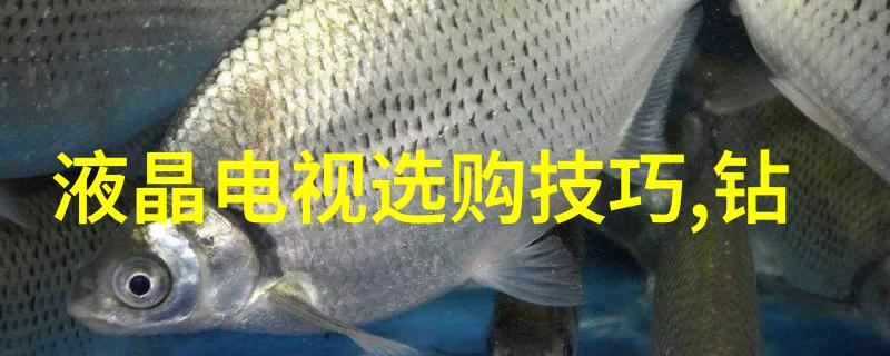 智能医疗设备革新宠物诊疗体验探索未来动物健康管理的可能性