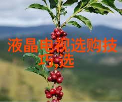 科罗娜钻石世界上最璀璨的宝石