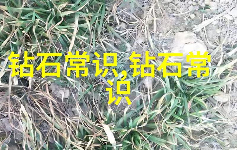 探索中华民族手工艺品的丰富多彩从绣花到雕刻传统艺术的瑰宝