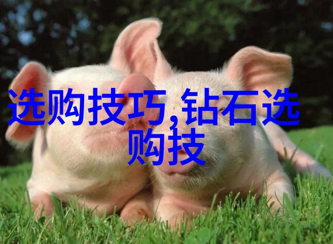 探索宝石光的奥秘从矿床到珠宝商店
